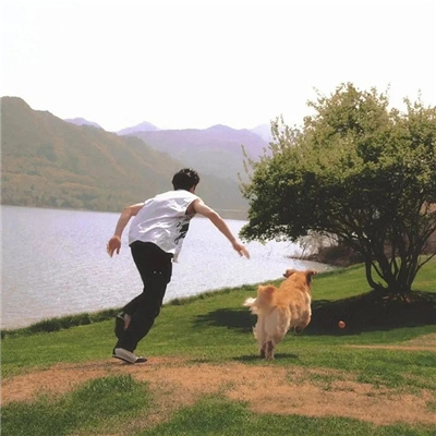 ˳ϲͷ