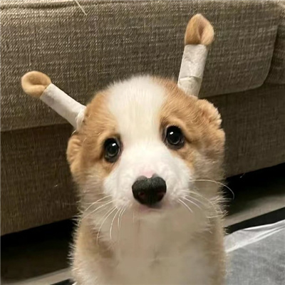 ɰѵͷͷ