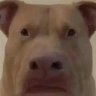 ̫ͷ