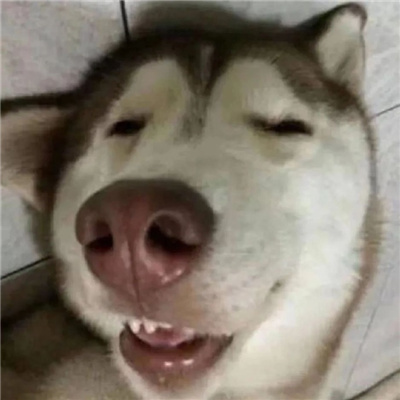 ̫ͷ