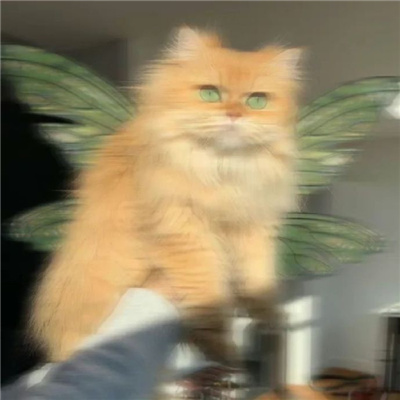 2024ʹèèͷɰ