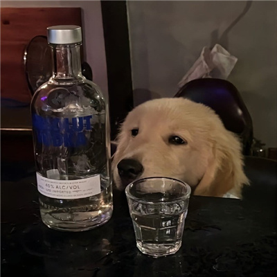 òŵͷϡ