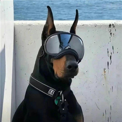 2024ɰͷ̹