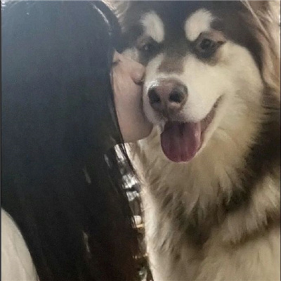 ŮȳĳƯŮͷ