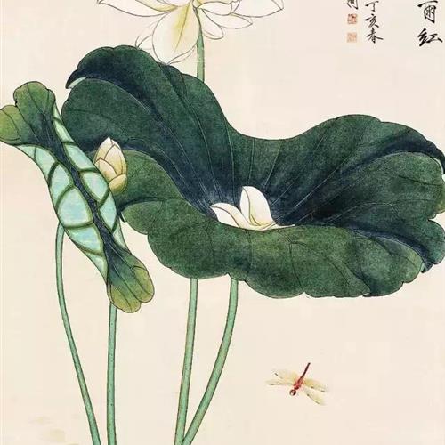 ϸɻͷ㷢黳