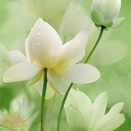 ͷ飬ֳŵķΧ