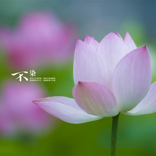 ΢ͷԢõķ羰ͼƬԣΨĴȻһϲ