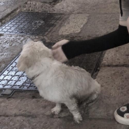 Сȴ޵ͷ ͨͷչʾİ飬黹Ҫɰ