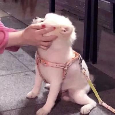 һϸʱ⣬ͷ