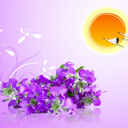 ʺϳڲͷͼƬ100»