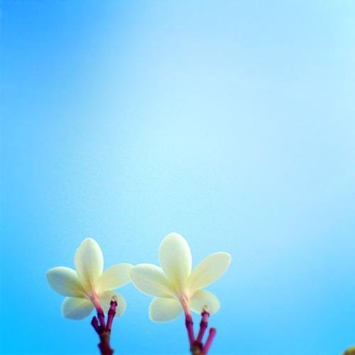 ͷչֳļͺͲӵ־