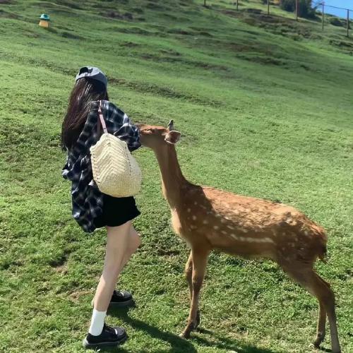ͷ˸ĴڣһܳΪĽ