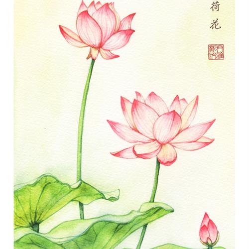 䣬ɻͷ֮