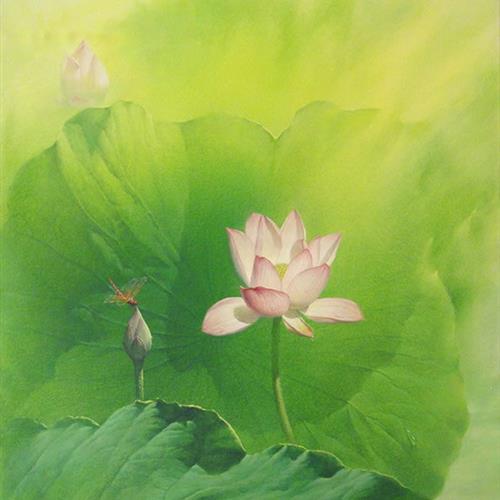 䣬ɻͷ֮