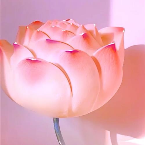 Ȼɻͷ񴫵Ȼ֮
