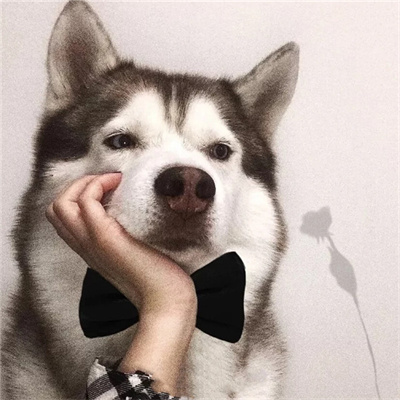 2023ɰԵͷͼƬ
