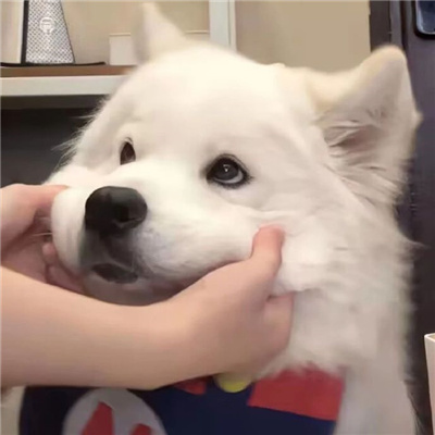 ɰ³ͷ