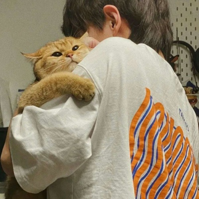 ֺ˧ͷϼ