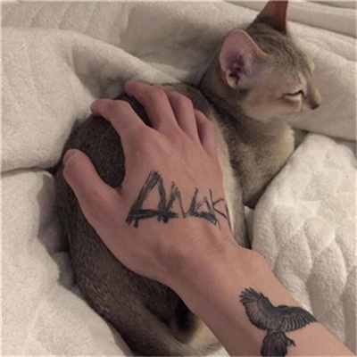 ĺܺõľͷϼ